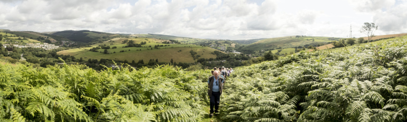 Photograph of Walking Route - Image 4