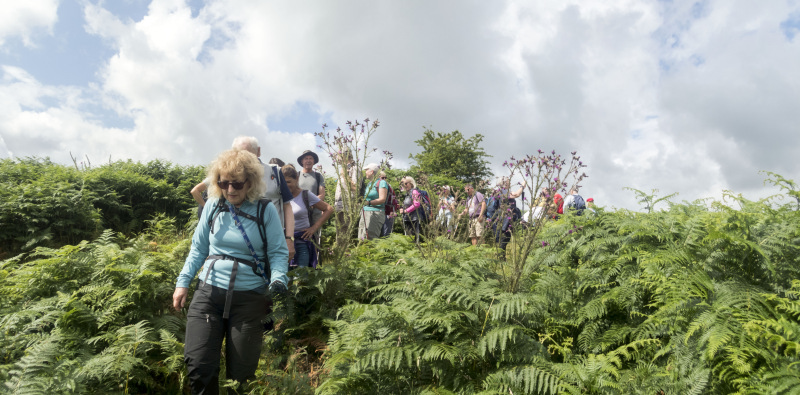 Photograph of Walking Route - Image 5