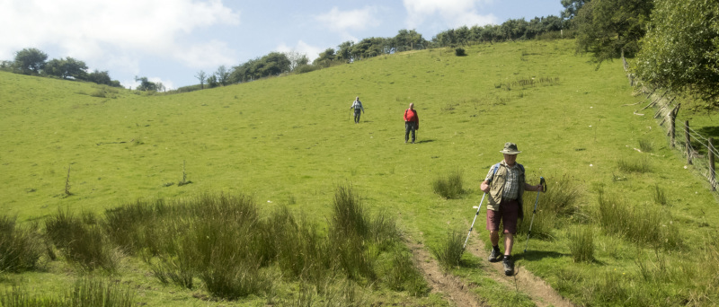 Photograph of Walking Route - Image 16