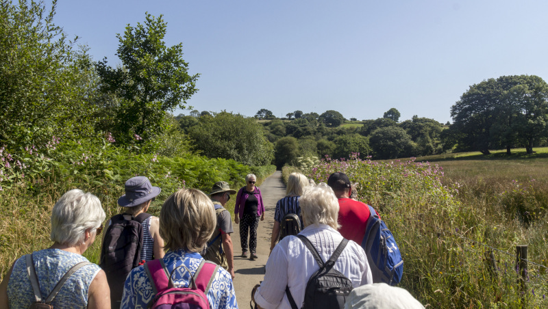 Photograph of Walking Route - Image 3