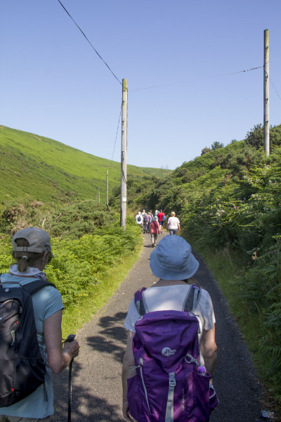 Photograph of Walking Route - Image 5