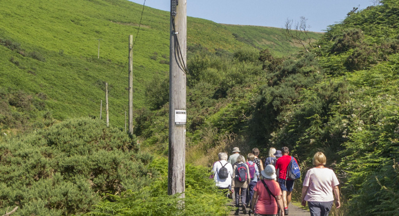 Photograph of Walking Route - Image 6