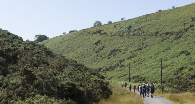 Photograph of Walking Route - Image 15