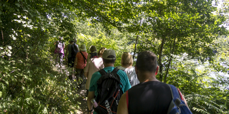 Photograph of Walking Route - Image 20