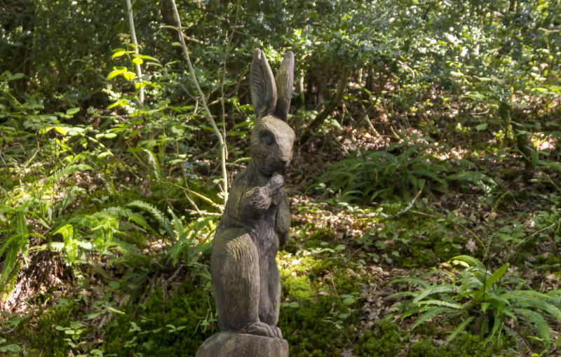 Photograph of Walking Route - Image 21