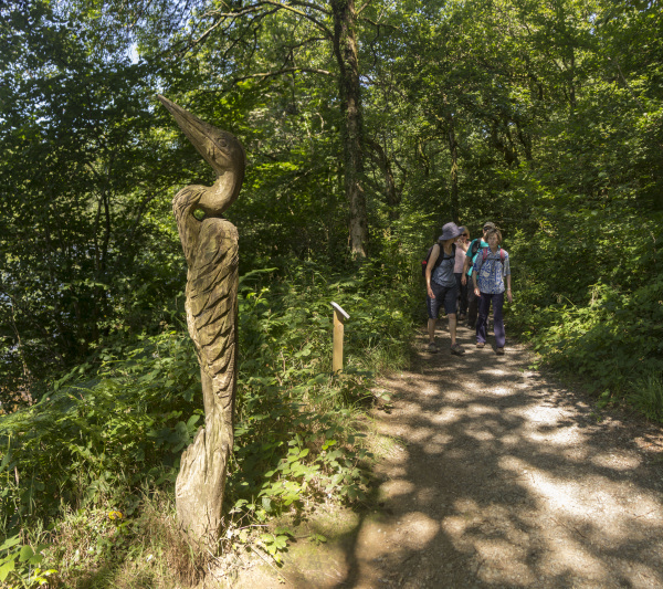 Photograph of Walking Route - Image 23