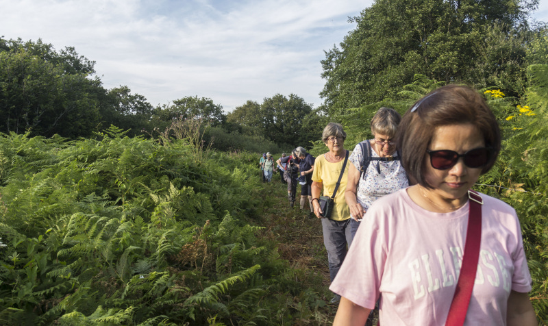 Photograph of Walking Route - Image 4