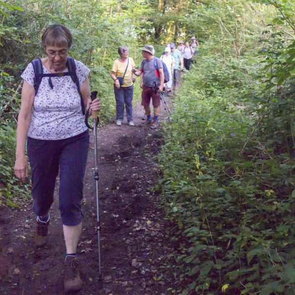 Photograph of Walking Route - Image 6