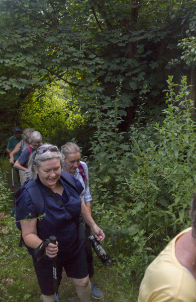 Photograph of Walking Route - Image 7