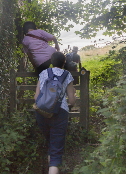 Photograph of Walking Route - Image 8