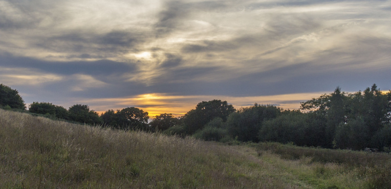 Photograph of Walking Route - Image 9