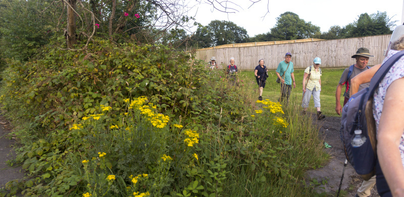 Photograph of Walking Route - Image 12