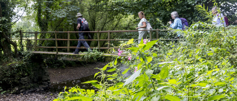 Photograph of Walking Route - Image 10