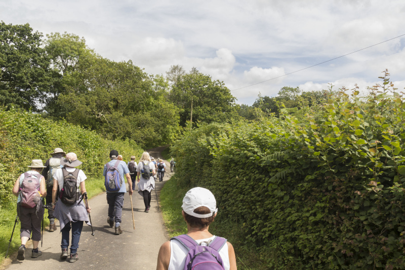 Photograph of Walking Route - Image 15