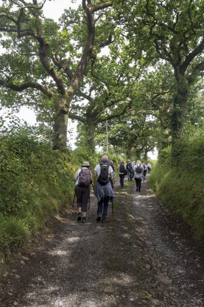 Photograph of Walking Route - Image 17