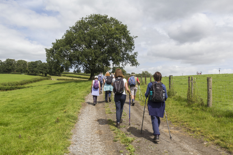 Photograph of Walking Route - Image 18