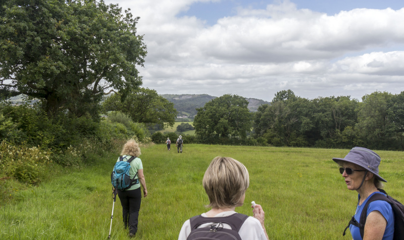 Photograph of Walking Route - Image 22
