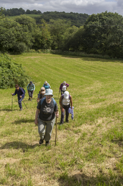Photograph of Walking Route - Image 26