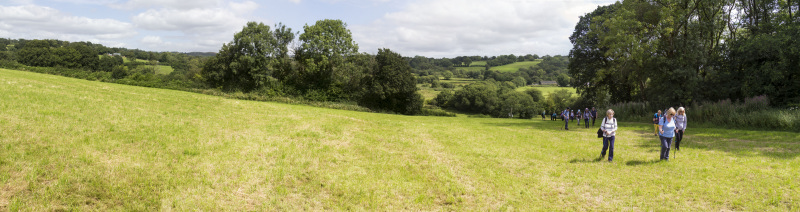 Photograph of Walking Route - Image 27