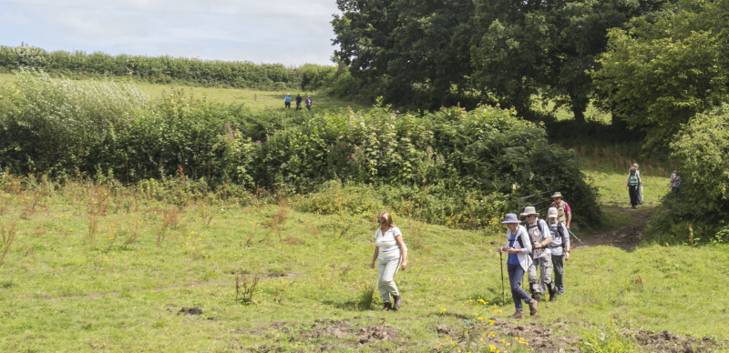 Photograph of Walking Route - Image 31