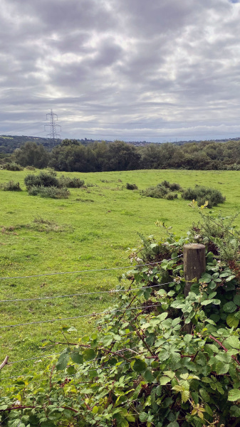 Photograph of Walking Route - Image 10