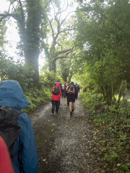 Photograph of Walking Route - Image 5