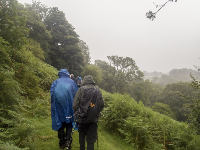 Photograph of Walking Route - Image 7