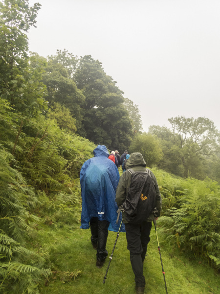 Photograph of Walking Route - Image 8