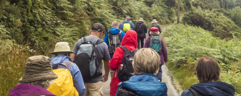 Photograph of Walking Route - Image 21