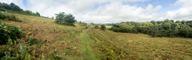 Photograph of Walking Route - Image 28