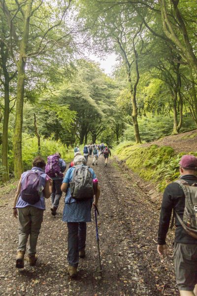 Photograph of Walking Route - Image 3