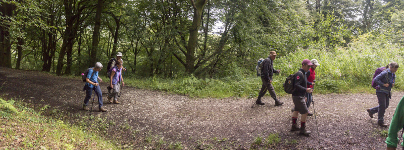 Photograph of Walking Route - Image 4