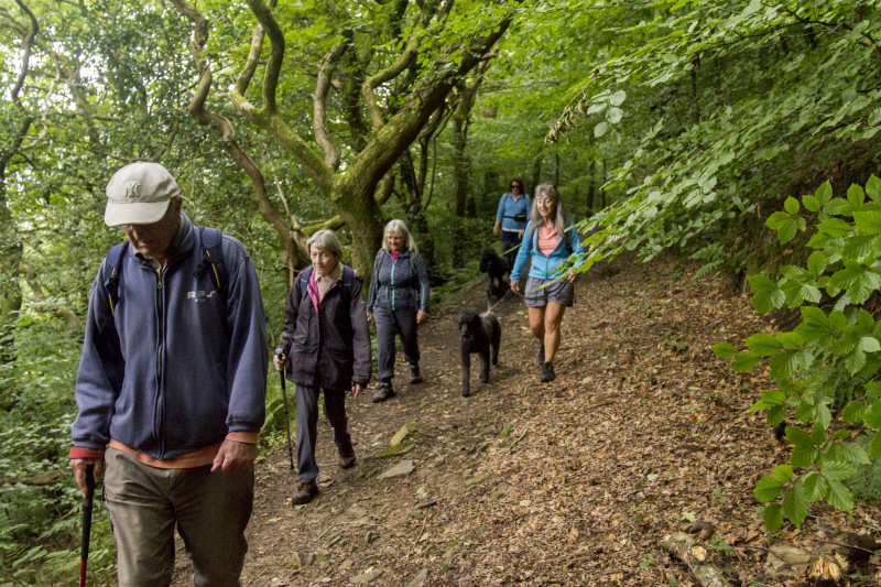 Photograph of Walking Route - Image 6