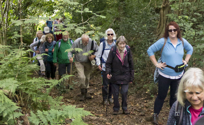 Photograph of Walking Route - Image 13