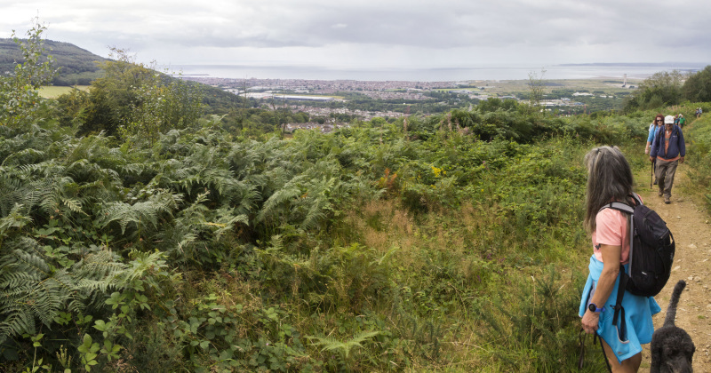 Photograph of Walking Route - Image 14