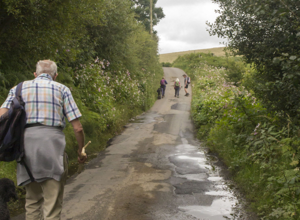 Photograph of Walking Route - Image 18