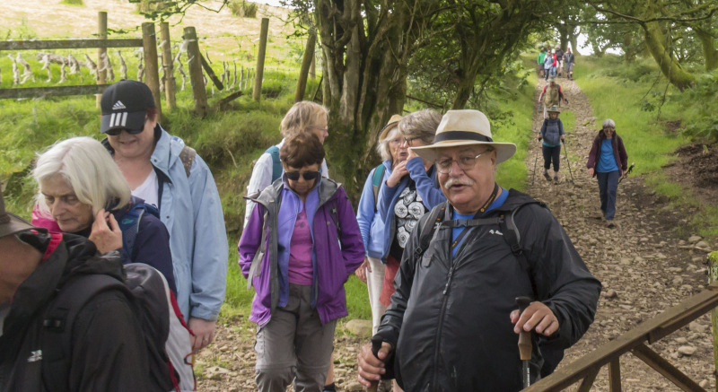 Photograph of Walking Route - Image 20