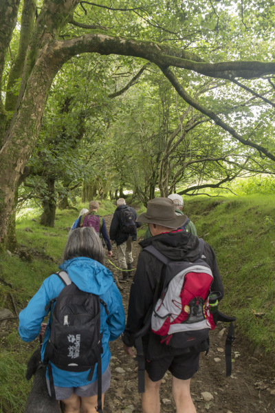 Photograph of Walking Route - Image 21