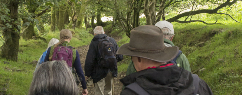Photograph of Walking Route - Image 22