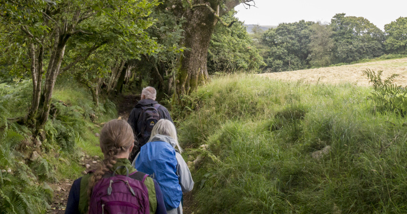 Photograph of Walking Route - Image 23