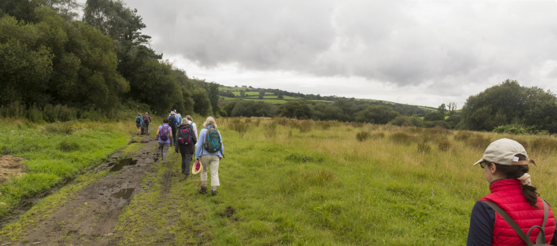 Photograph of Walking Route - Image 27