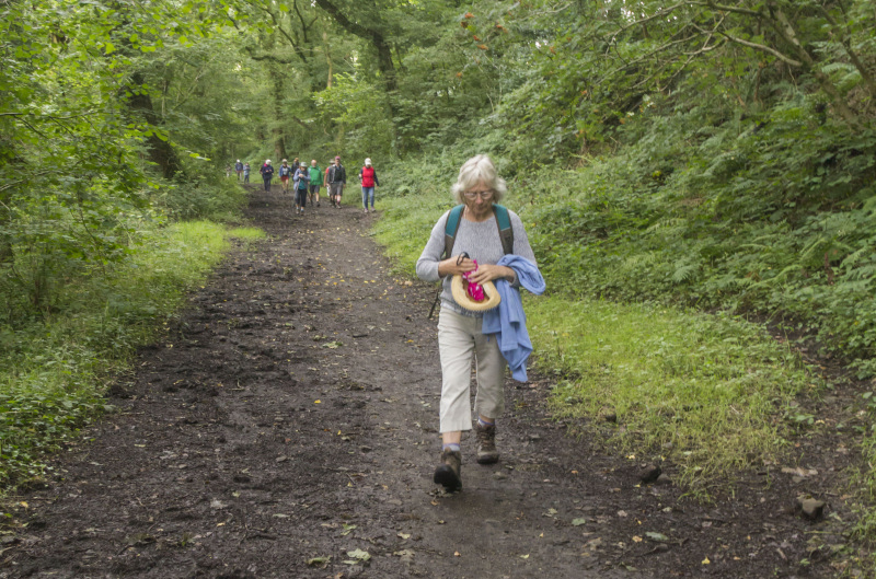 Photograph of Walking Route - Image 28