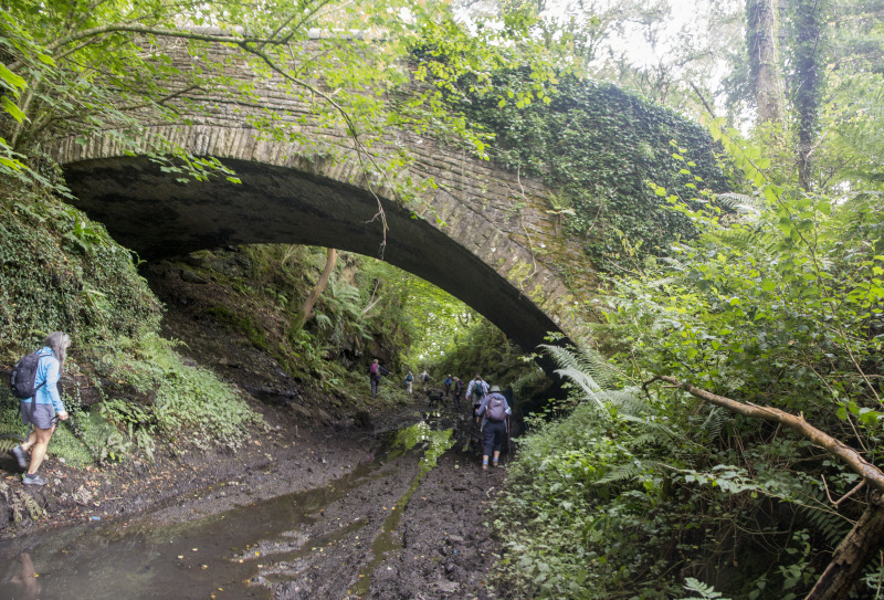 Photograph of Walking Route - Image 29