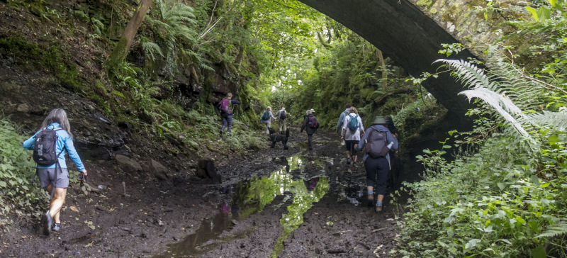 Photograph of Walking Route - Image 30