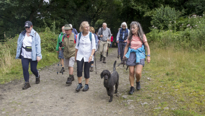 Photograph of Walking Route - Image 31