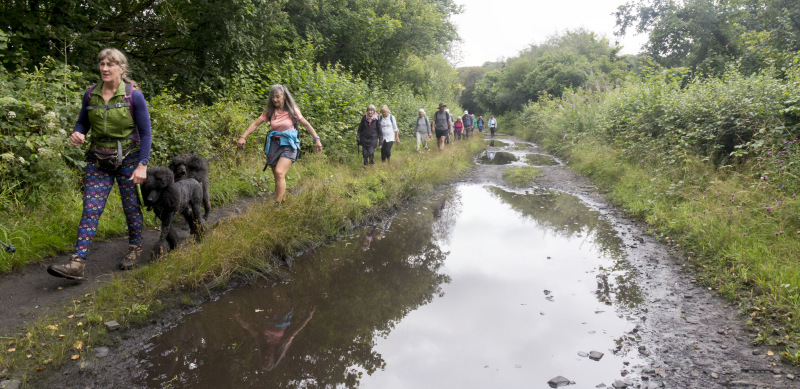 Photograph of Walking Route - Image 32