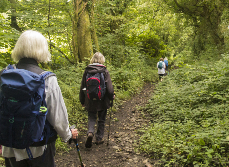 Photograph of Walking Route - Image 35
