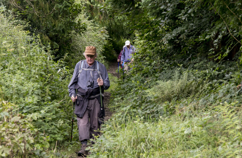 Photograph of Walking Route - Image 37