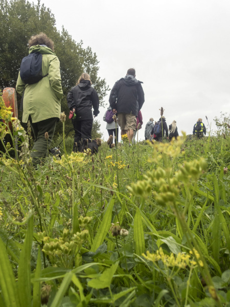 Photograph of Walking Route - Image 5