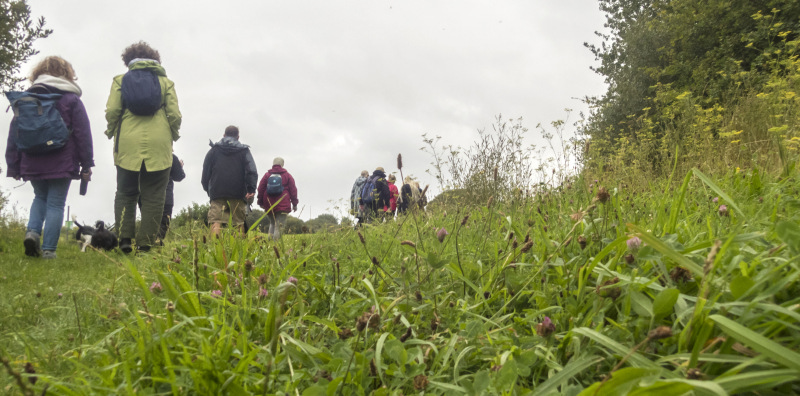 Photograph of Walking Route - Image 6